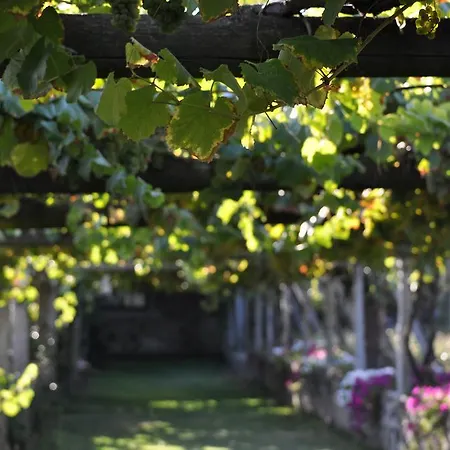 Pazo De Galegos Hotel 2*