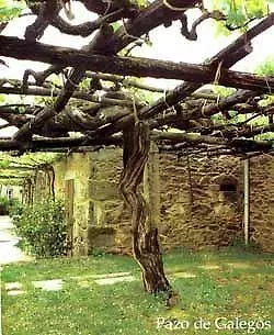 Pazo De Galegos Otel Vedra